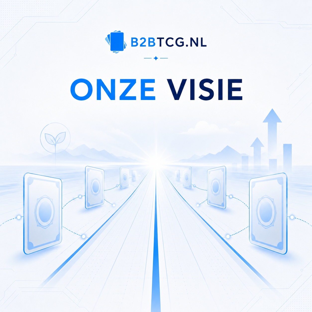 Visie B2BTCG